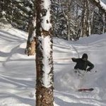 Adrian Link - @alink603 - Instagram