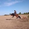 adrianlink_15 - @adrianlink_15 - TikTok