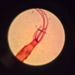 Adrian Bøgelund Løber Pedersen - @adrian_boegelund_loeber - Instagram