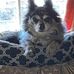 Adrian Louden - Facebook