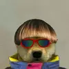 LUND_Adrian07 - @adrianlund7 - TikTok