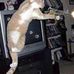 Adrian Luttrell - Facebook