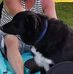 Adrian Lyttle - Facebook