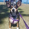 adrian.macdonald - @adrian.macdonald - TikTok