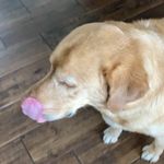 Adrian - @__adrian__mack__ - Instagram