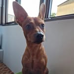Adrian Macovei - @adrian_macovei14 - Instagram