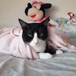 Adrian Madriz - @_a.mdriz14_ - Instagram