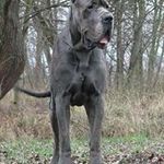 Adrián Maiden Kassay - @adrianmaidenkassay - Instagram