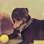 Adrian Maioru - @adrianmaioru - Instagram