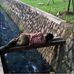 Adrian Major - Facebook