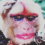 Adrian_Major_fanpage;) - @sonic_balonik - Instagram