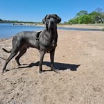 Adrián Maneiro - @maneiroadrian30 - Instagram