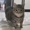 Adrian Mangano - @adrian.mangano2 - TikTok