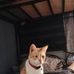 Adrian manlapaz1 - Facebook
