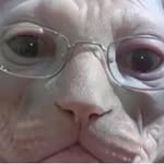 adrian manley - @mistermonkey721 - Instagram