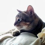 Marcel - @marcellus.adrian - Instagram