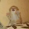 Adrian Marchan - @adrian.march - TikTok