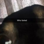 @_adrian_marcus - Instagram