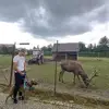 Adrian Marek759 - @adrianmarek759 - TikTok