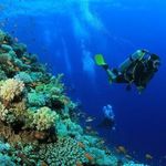 Adrian Marion - @adrian.marionbigpond.com5 - Instagram
