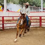 Adrián Mariscal - @mariscall_adrian - Instagram