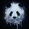 Adrian Mark - @mark778 - TikTok