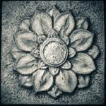 @adrianmarksmith - Instagram
