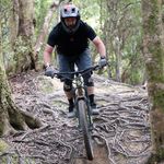Adrian Marsden - @adrianmarsden - Instagram