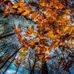 Adrian MARTA Photography - Facebook