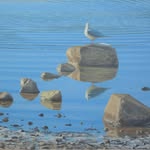 Adrian Masson - @adrianmassonart - Instagram