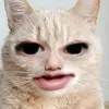 adrian mathias - @adrian.mathias06 - TikTok