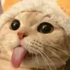 Adrian Mathias Zambrano de los - @adrian.mathias.za - TikTok
