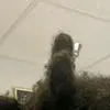Adrian Mathis - @curlyhead.aj24 - TikTok