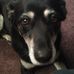 Adrian Maughan - Facebook