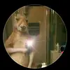 Adrian Max - @adrian.max39 - TikTok