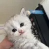 adrianmaya.2 - @adrianmaya.2 - TikTok