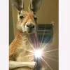 Adrián mayen - @adrin.mayen - TikTok