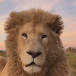 Adrian Mayen - @mata40468 - Instagram