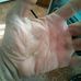 Adriano Mazzoni - Facebook