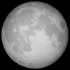 Adrian_McCormick - @adrian_mccormick - TikTok