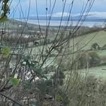 Adrian McCormick - @adrianmccormick9 - Instagram
