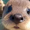 Adrian Mcgee - @adrian.mcgee - TikTok