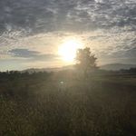 Adrian Kanor McGregor - @adrian.kanor - Instagram