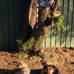 Adrian McGregor - Facebook