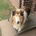 Adrian McLeod - Facebook