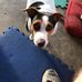 Adrian Mcleod - Facebook