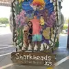 Adriana Mcnally - @adriana.mcnally - TikTok