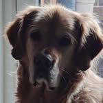 Adrian Mead - @thedownbeats1963 - Instagram