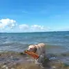 Adrian Meaden - @adrian.meaden - TikTok