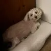 adrian.medrano116 - @adrian.medrano116 - TikTok